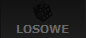 Losowe